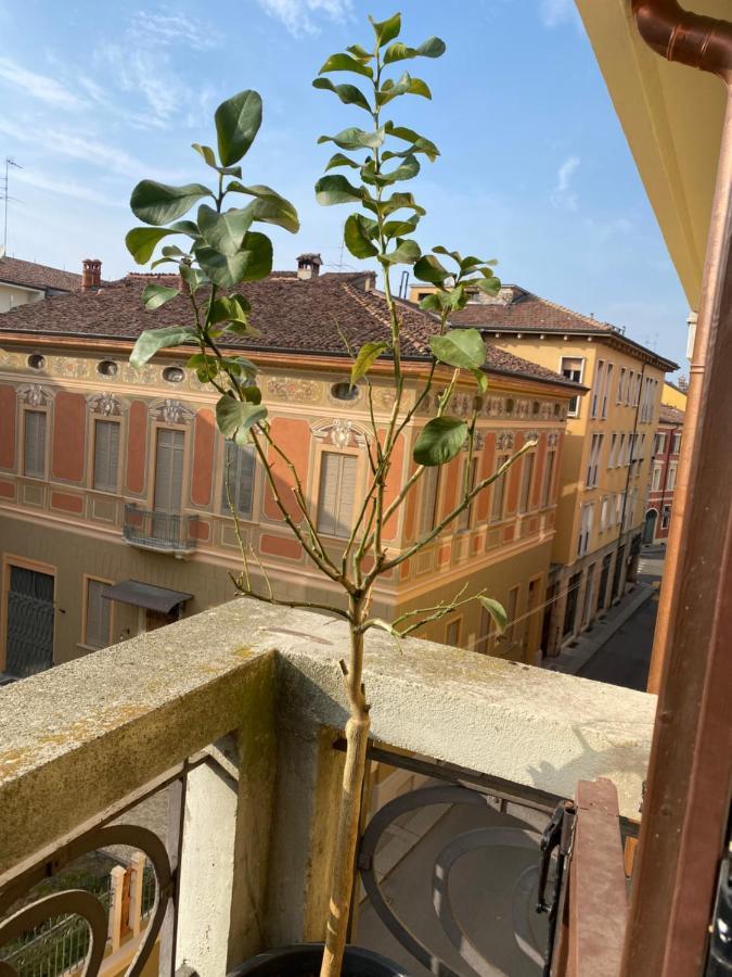 Loft Manzoni 37 Appartement Cremona Buitenkant foto